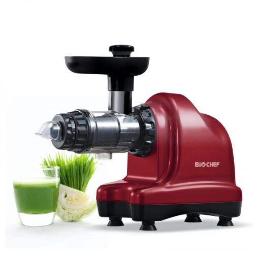 BioChef Axis Cold Press Juicer
