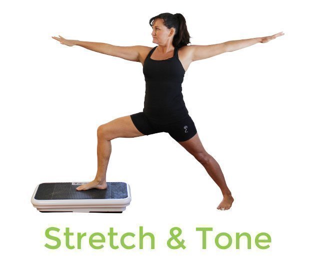 VibroSlim Ultra Vibration Machine