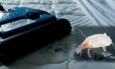 Allergy Vacuum Cleaner