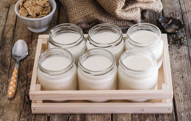 dehydrated-yogurt dehydrated-yogurt