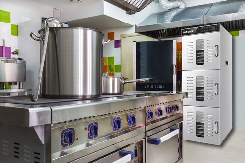 BioChef Commercial 30T Digital Food Dehydrator Kitchen BioChef Commercial 30T Digital Food Dehydrator Kitchen